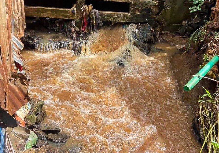 Flood 4